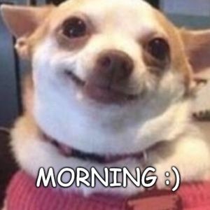 Meet your Posher, Chloe